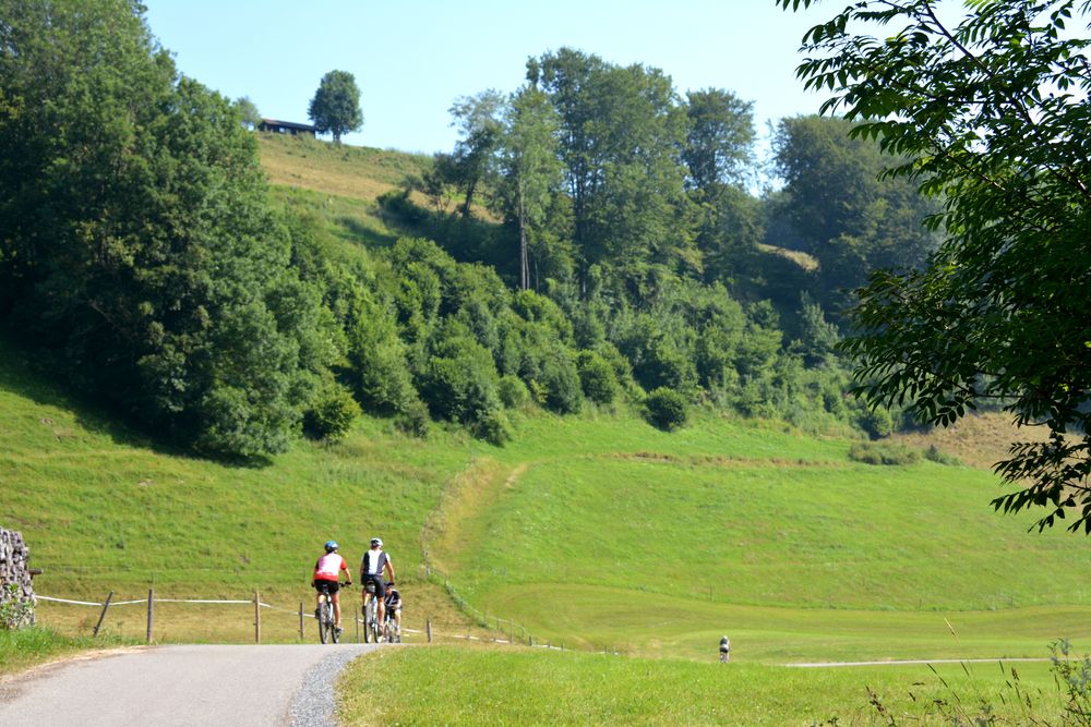 Voyage vélo autour du lac de Constance - Trains de montagne le long du Lac de Constance